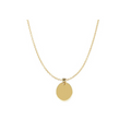 9ct Gold Oval Disc Pendant - 2 Colours